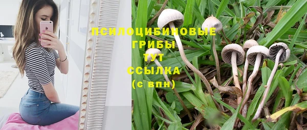 меф Армянск
