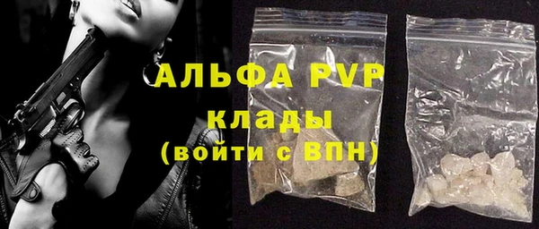 хмурый Инсар