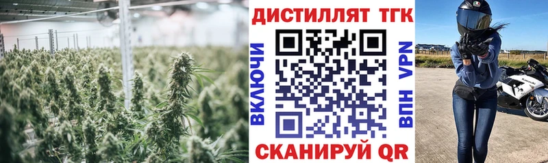 купить наркотики цена  Ленск  KRAKEN сайт  Дистиллят ТГК концентрат 